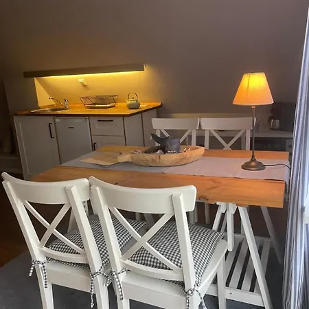 Friesen-lodge 아파트호텔 3*