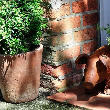 아파트호텔 Friesen-lodge 3*